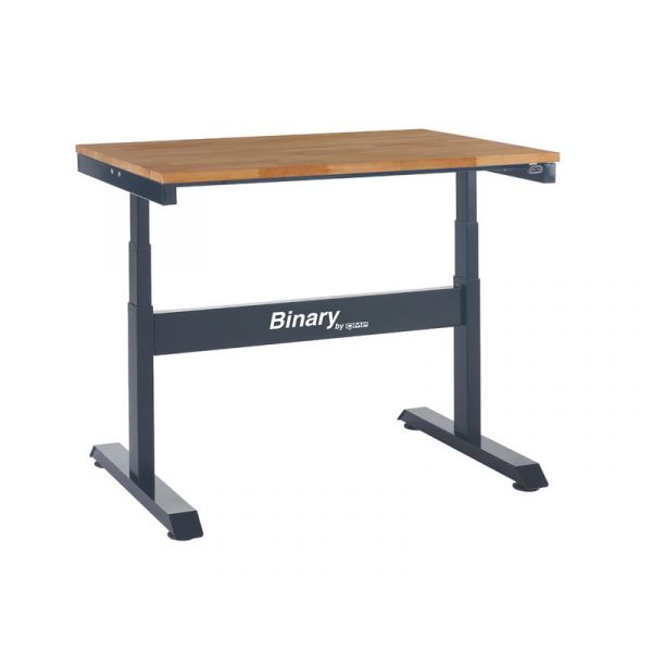 Binary Electric Height Adjustable Workbench