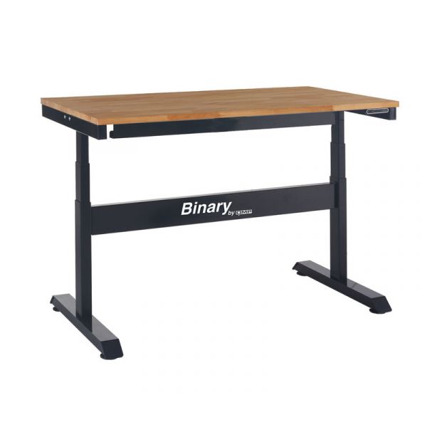 Binary Electric Height Adjustable Workbench