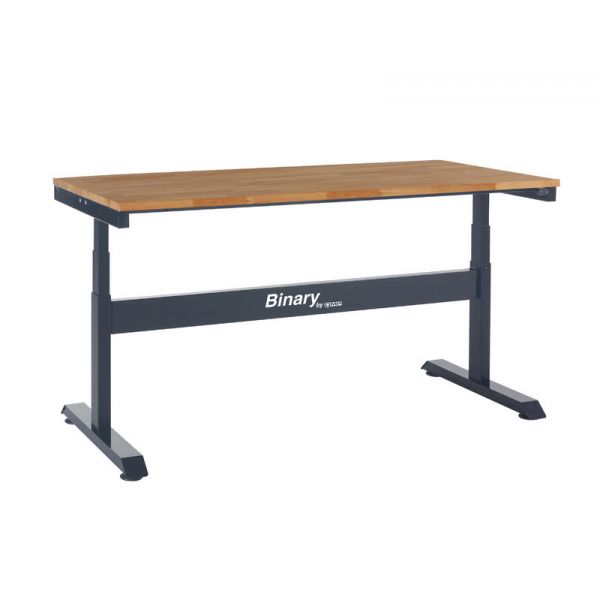 Binary Electric Height Adjustable Workbench