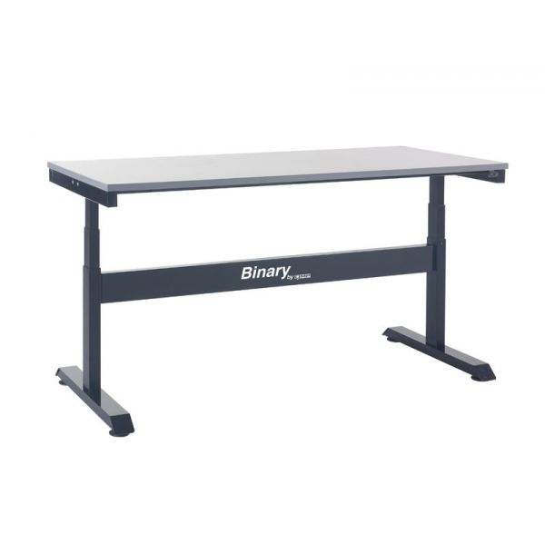 Binary Electric Height Adjustable Workbench